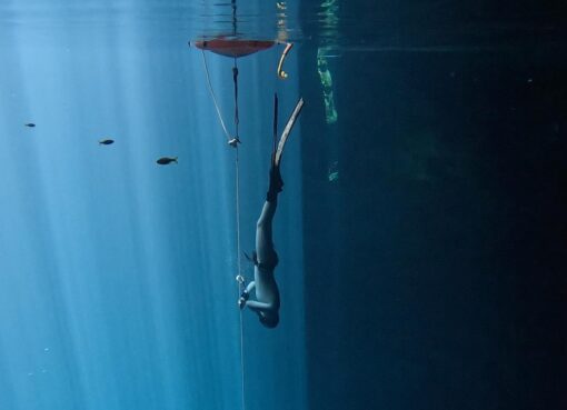 Freediving Tulum